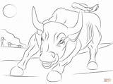 Byk Toro Tori Bulle Ausmalbild Bull Stampare Bullen Kolorowanka sketch template