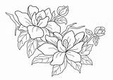 Flower Embroidery Coloring Flowers Pages Adults Sheets Drawing Magnolia Patterns sketch template