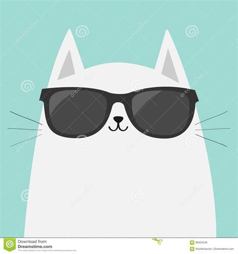 White Cat Wearing Sunglasses Eyeglasses Black Lenses