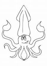 Lula Tintenfisch Squid Splatoon Ausmalbild Escolha Pasta Comodesenharbemfeito Gigante ähnliche sketch template