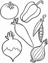 Verduras Colorear Frutas Vegetables sketch template