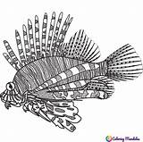 Mandalas Animales Acuaticos Lionfish Vhv Pez sketch template