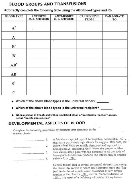 blood worksheet anatomy
