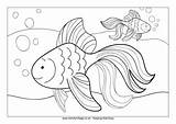 Goldfish Activityvillage sketch template