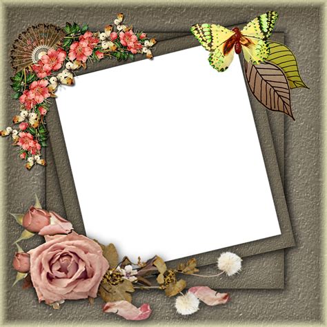 frame png frame png pictures frame png floral royalty  stock illustration image