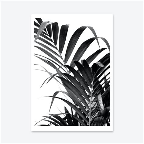 palm leaf  art print fast shipping fy
