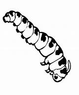 Caterpillar Coloring Pages Clipart Catapiller Printable Kids Clipground sketch template