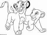 Coloring Pages Simba Nala King Lion Popular sketch template