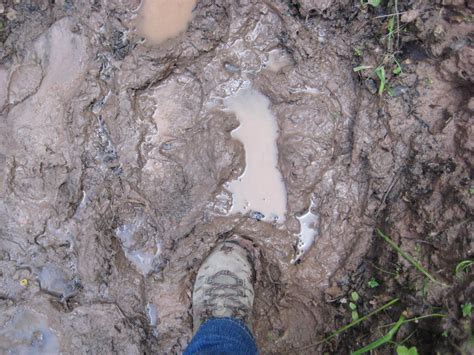 stuck   mud