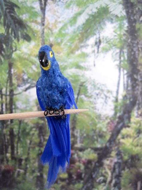 malinikminiatures    bird mini hyacinth macaw parrot ooak