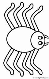 Coloring Spider Spiders Color Kids Insects Pages Print Creepy Crawly Activity Bigactivities sketch template