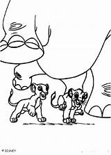 Lion Elephant Cubs Coloring Pages King Disney Le Play Color Print Roi Para Colouring Colorear Playing Leon Dibujos Rey Online sketch template