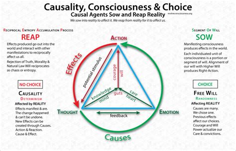 causality consciousness  choice