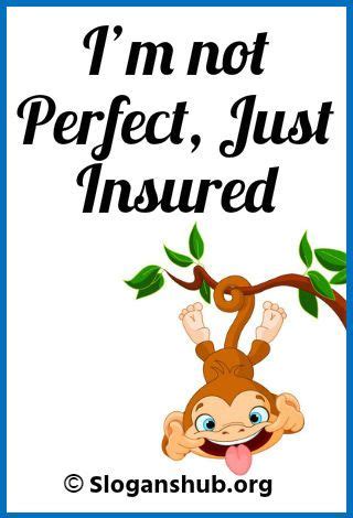top  funny insurance slogans taglines life insurance