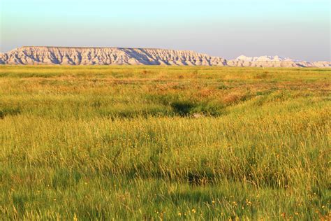 characteristics  grassland biomes sciencing