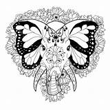 Elephant Coloring Pages Butterfly Adults Tattoo Ears Tribal Elephants Adult Printable Floral Drawing Tattoos Sheets Splendid Background Drawings Google Book sketch template