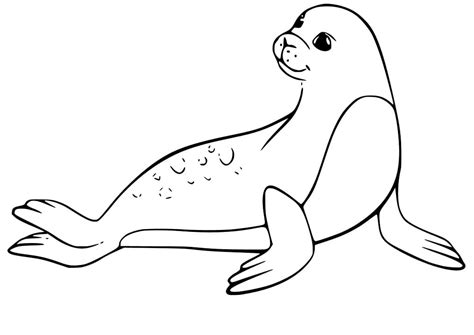 seal  fishes coloring page  printable coloring pages  kids
