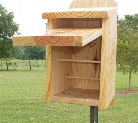 chickadee bird houses plans birdhousetips bird house plans bird houses building bird houses