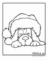 Coloring Christmas Puppy Pages Animal Printables Cute Printable Animals Jewelry Kids Hat Print Dog Jr Santa Winter Colour Adults Adult sketch template