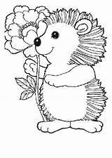 Hedgehog Coloring Pages Hedgehogs Previous Animal sketch template