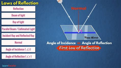 reflection  laws  reflection light class  science youtube