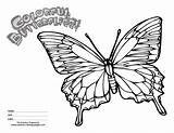Coloring Butterfly Pages Cartoon Clipart Printable Comments Getdrawings Drawing Library sketch template