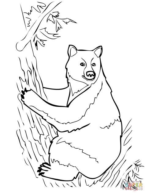 american black bear sits  tree coloring page  printable