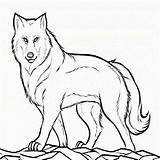 Wolf Coloring Pages Kids Cute Colouring Pup Printable Cub Detailed Print Mom Mother Peter Drawing Color Clyde Kid Getcolorings Getdrawings sketch template