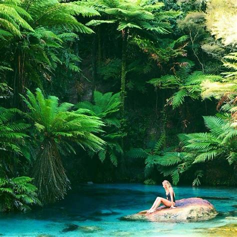 zealand  instagram blue springs  te waihou walkway photo  atlisadanielle