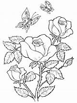 Coloring Roses Pages Print Color Kids sketch template
