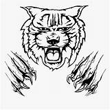 Wildcat Claw Bobcat Wildcats Garra Claws Webstockreview Hiclipart Pngwing Gato sketch template