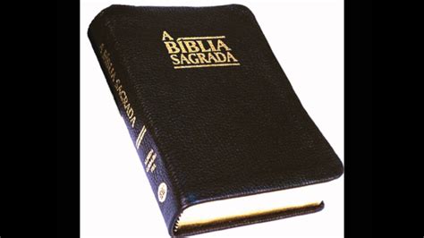 Bíblia Sagrada O Evangelho Segundo João 1 Ao 5 Áudio