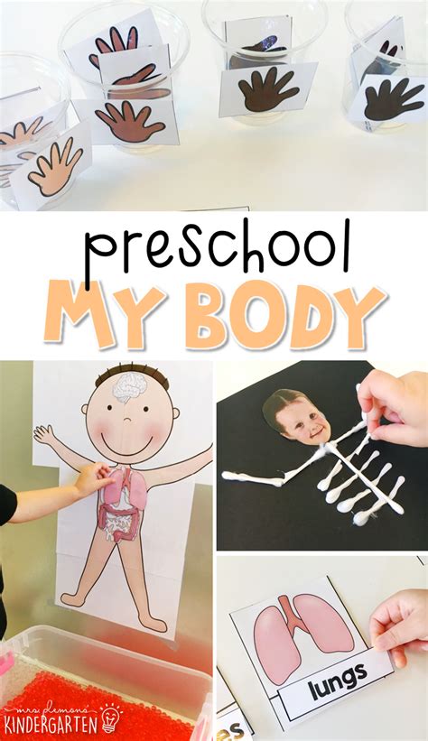 preschool  body plans  printables  images