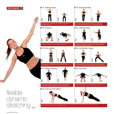search results  dynamic stretching exercises calendar