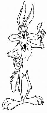 Coloring Coyote Wile Pages Runner Road Looney Tunes Popular sketch template