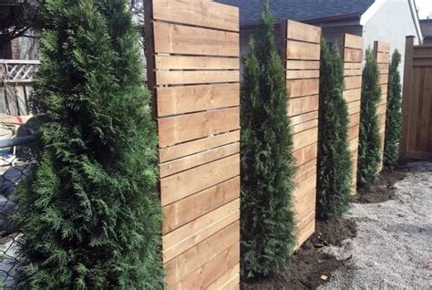 top   privacy fence ideas shielded backyard designs