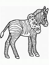 Coloring Pages Zebra Kids Printable Color Animals Realistic Print Zebra2 Colouring Cute Getcolorings Books Book Popular Getdrawings Coloringhome Library Clipart sketch template