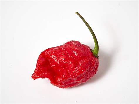 The 22 Hottest Peppers In The World Mapquest Travel