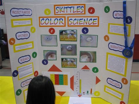 great elementary science fair project  board layout