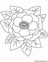 Peony Peonies Flowers Bestcoloringpages sketch template