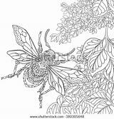 Flowers Adult Beetle Flying Sketch Insect Coloring Vector Zentangle Sakura Stylized Antistress Cartoon Around Drawn Doodle Search Shutterstock Stock sketch template
