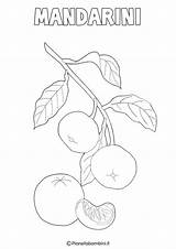 Colorare Disegni Frutta Invernale Mandarini Pianetabambini Schede Limone sketch template