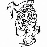 Tribal Tiger Animal Animals Drawing Wall Sticker Stickers Clip Decal Clipart Tigre Cliparts Decals Climbing Designs Car Hunter Butterfly Library sketch template