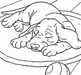 Sleeping Dog Coloring Dogs Color Book Lmt Colored Coloringcrew Colorear Gif Animals Print sketch template