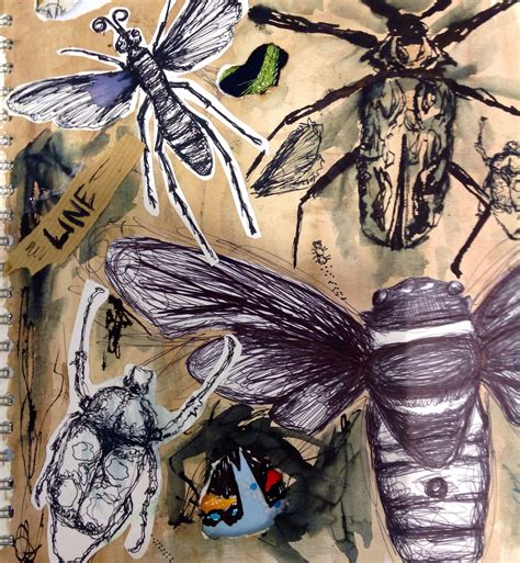 drawings insect art ks art art drawings