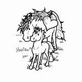 Veulen Poney Cheval Kleurplaten Kleurplaat Paard Paarden Veulens Veulentjes Honden Downloaden Uitprinten Leuk Terborg600 Leukvoorkids Imprimé sketch template