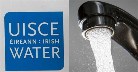 pat flanagan brazen irish water bosses get huge bonuses despite leaving tens of thousands of