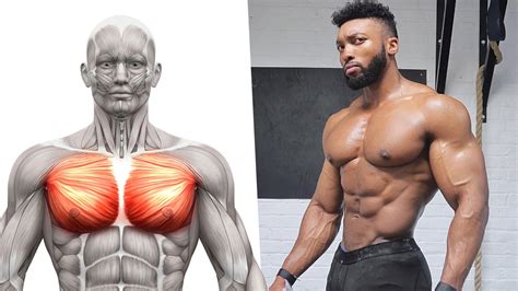 amazing benefits  decline bench press build chest muscle  boxrox