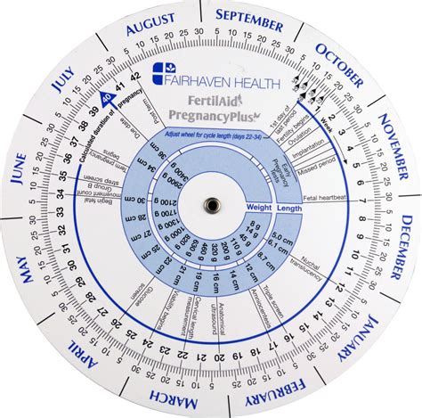 buy doctor designed ovulation   month pregnancy wheel