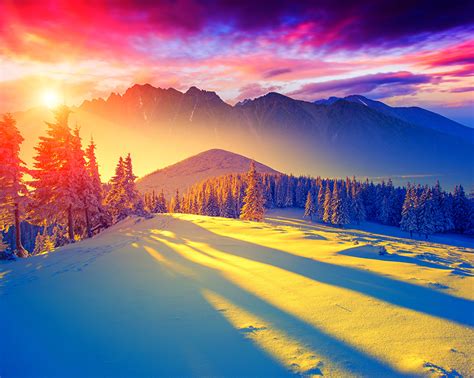 fonds decran saison hiver ciel photographie de paysage picea neige nature telecharger photo
